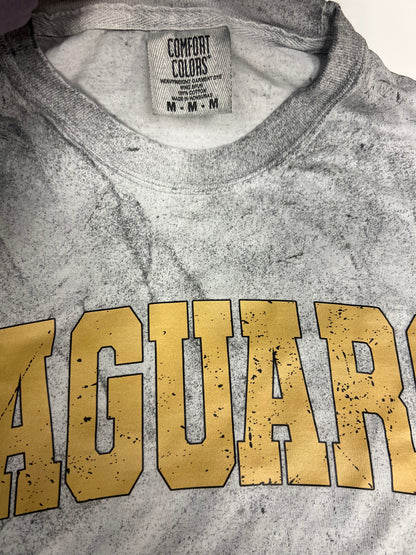 Discounted Jaguars Color Blast (AM)