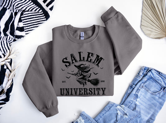 Salem University