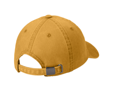 Circle Thunderbirds Ball Caps