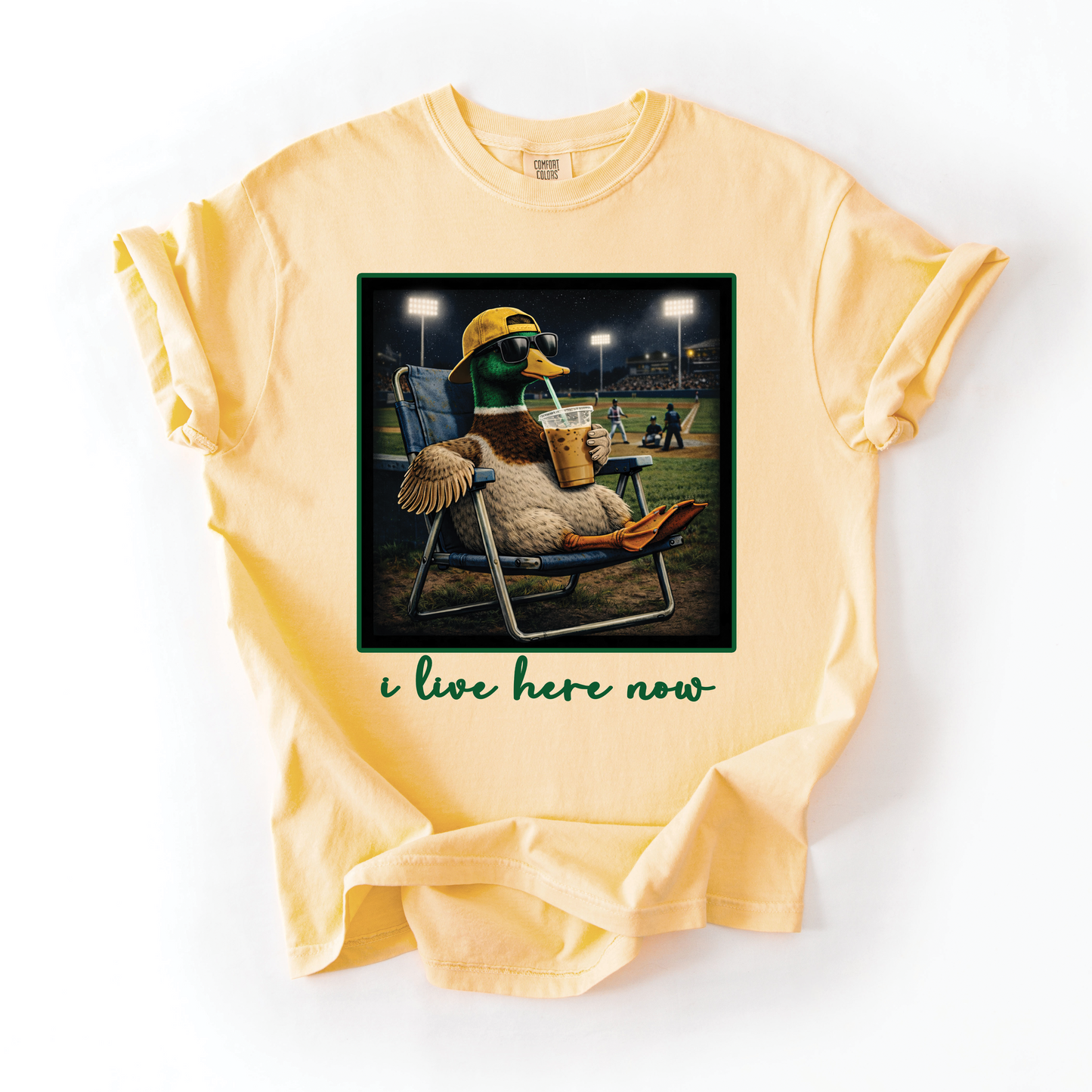 I Live Here Now Baseball Tee ((Duck)