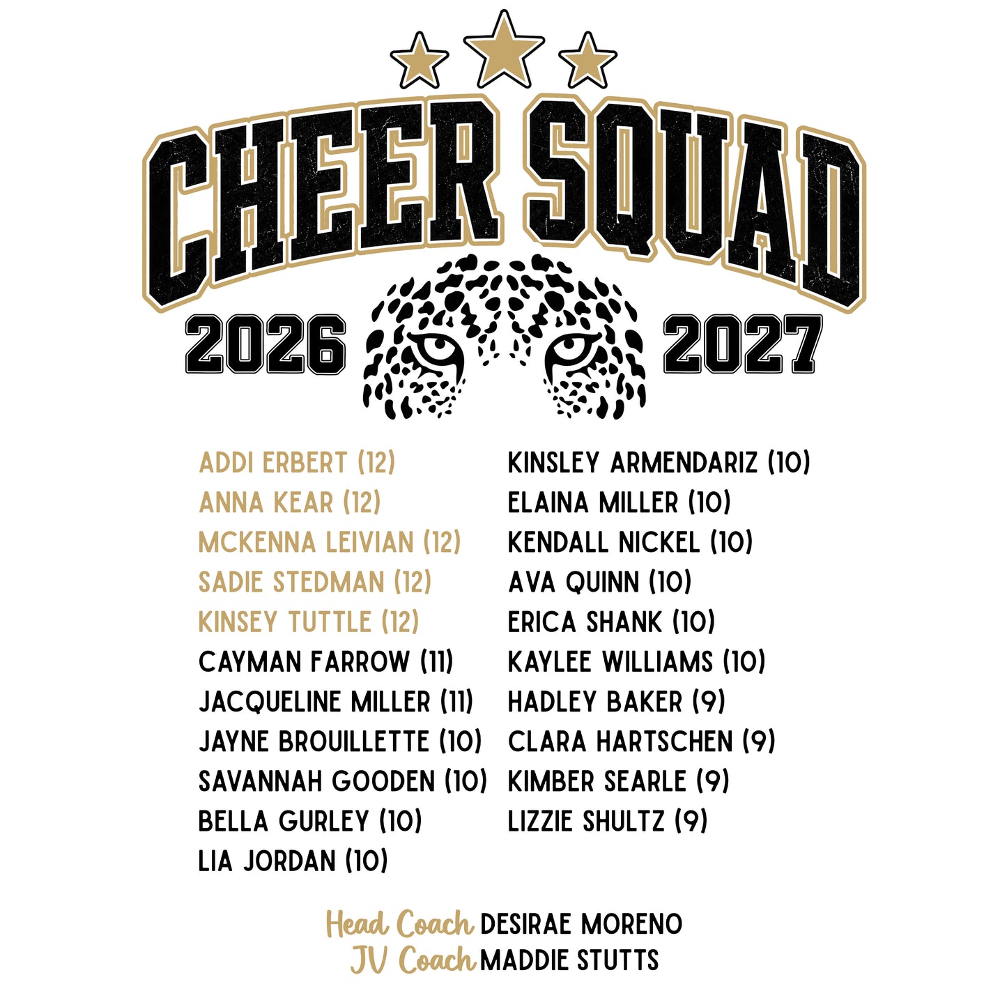 26-27 ACHS Cheer Team Shirt {Gildan}